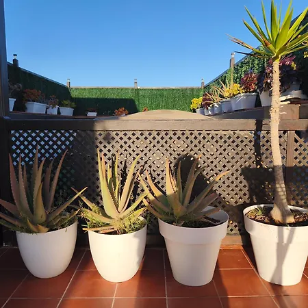 Casa Orymar Cotillo