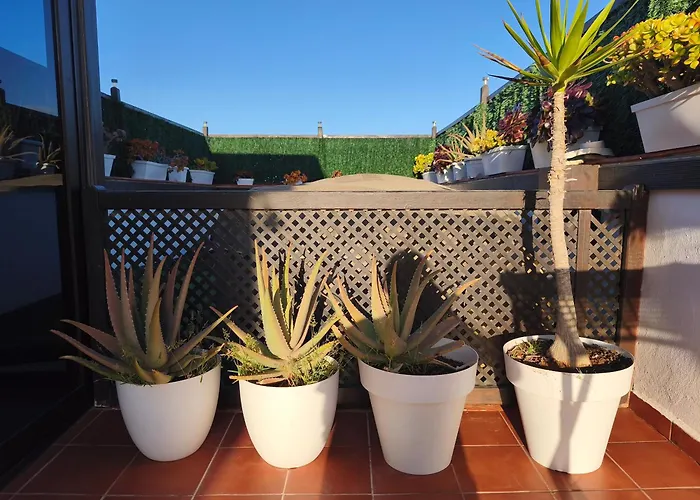 Casa Orymar Cotillo